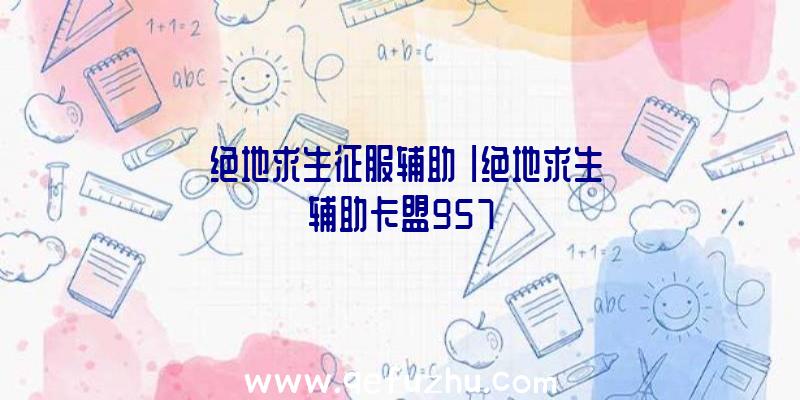 「绝地求生征服辅助」|绝地求生辅助卡盟957